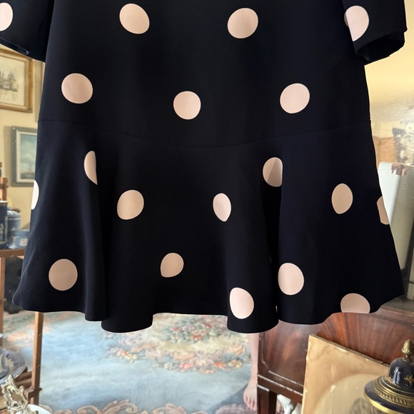 Kate Spade Navy & Light Pink Polka Dot Mini Dress with Boat Neck - Picture 6 of 11